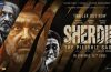 Sherdil Movie News and Updates, Story, Trailer, Release Info