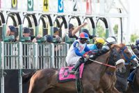 How do Bet Odds Work in Horse Race Betting